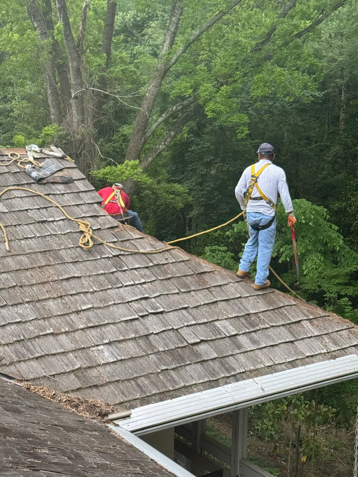 Roofer in a safety harness on a wood shake roof surrounded by trees