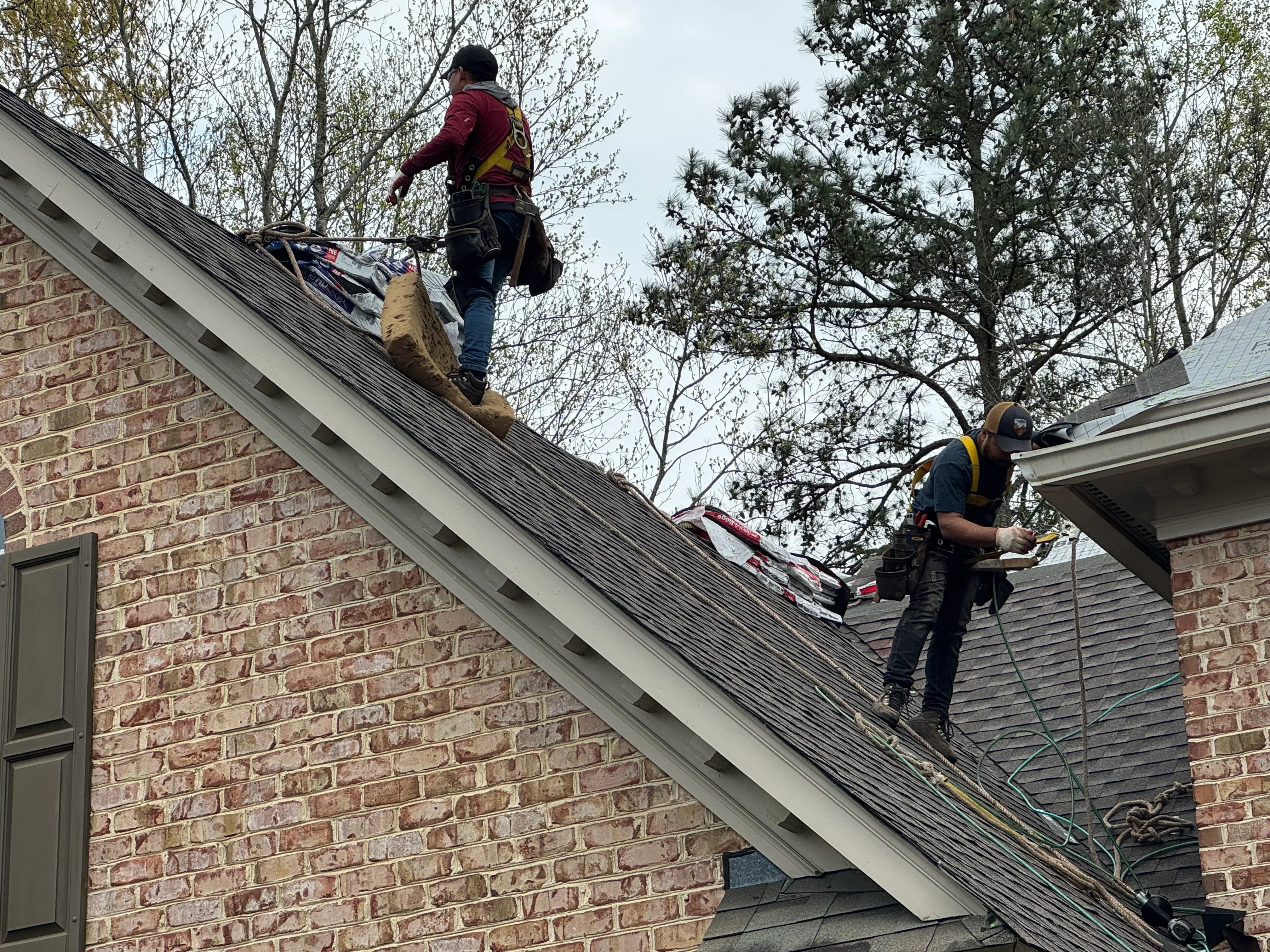 Roofers installing new shingles on pitched residential roof with safety harnesses